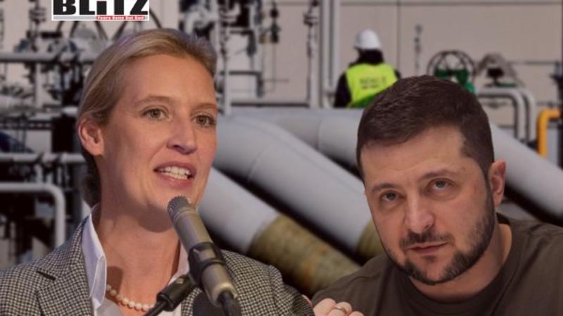 AfD calls for compensation over Nord Stream as Weidel accuses Ukraine of sabotage