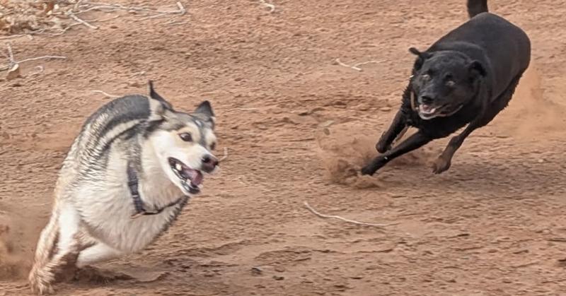 A Deep Dive Into Why Joy is Essential, Who Feels It, and Why