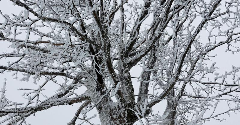 One Reason Your New Year's Goals Fail by February