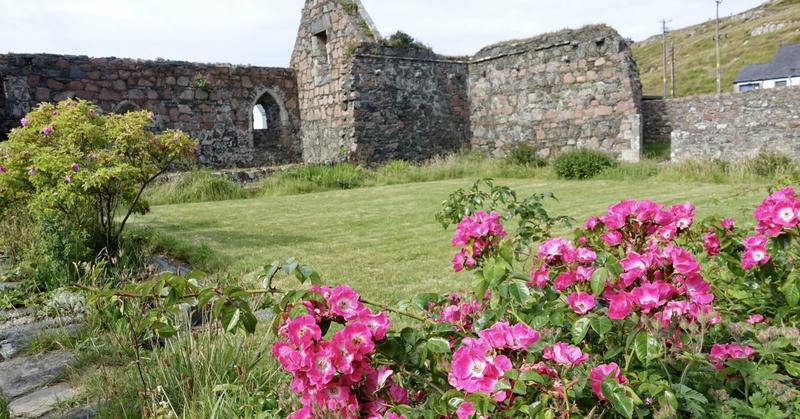 The Divided Brain: How Two Halves Create One Mind