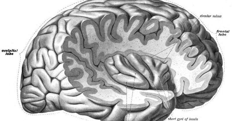 The Compelling History of a Disease Basis for Mental Illness