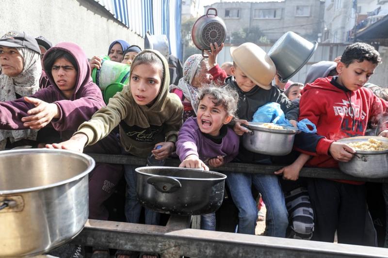 The “Donkey Flights” Project: Saving Animals While Strangling Gaza