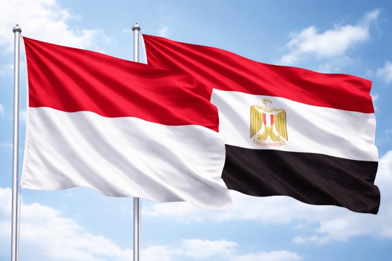 Indonesia’s vice foreign minister visits Egypt: Key takeaways