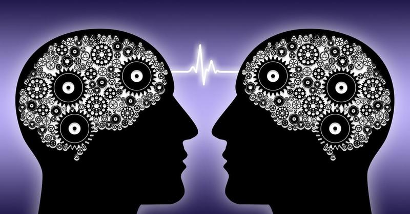 When Two Brains Meet