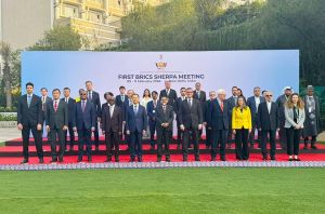 How are the BRICS Sherpas and Sub-Sherpas shaping the 21st century in New Delhi?
