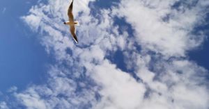 Never Let Me Go: Accepting the Reality of Losing Your Child