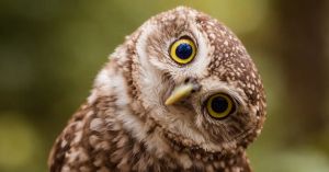 Yes, You Can Increase Your Curiosity. Here's How.