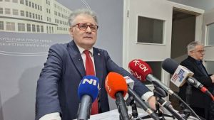 Dragan Milić: Ima jedna podružnica u Srbiji povezana sa Epstinom i dosijeima