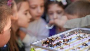 U susret proleću uz urbane oprašivače: Porodična radionica u Muzeju nauke i tehnike