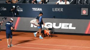 CãoDulas participam do Rio Open para fortalecer adoção responsável; conheça os pets