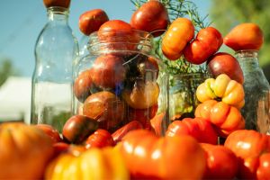 In peak season, tomatoes steal the show