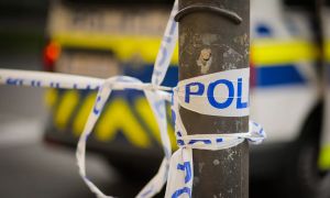 Nasilna smrt pri Ljutomeru: v gozdu našli dve trupli