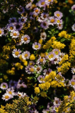 Habitats for Holiness – Parshat Terumah