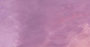 A True Believer in the Intellectual Spirit