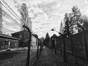 Holocaust Distortion in the Examination Room: Auschwitz as a Diet Trope