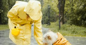 A Positive Paw Report