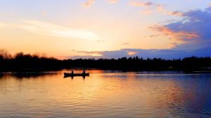 When Perception is Reality & Acceptance a Problem