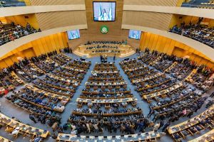 The 39th African Union summit: what were the results?