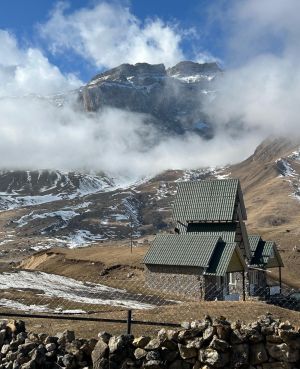 Call for Lexicon Elimination of Genocide: A Lesson in Discussion Avoidance