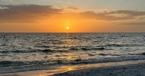 Why Are Clients Turning to AI for Mental Health?