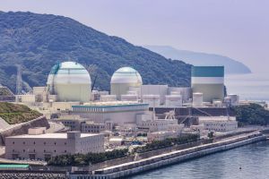Japan's nuclear policy needs scientific verification
