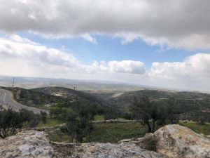 How does acacia wood do chesed?