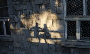 Porast garij: zakaj se nikakor ne umiri?