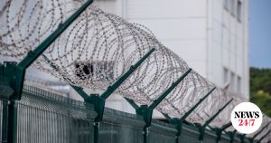 To ξύλο βγήκε από την κόλαση