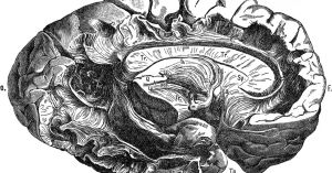 The Man Who Introduced Freud to Psychiatry