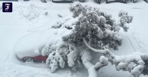 New York geht im Schnee unter