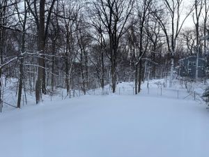 Purim or Purim Spiel (Can it possibly snow?)