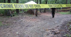 The Value of True Crime