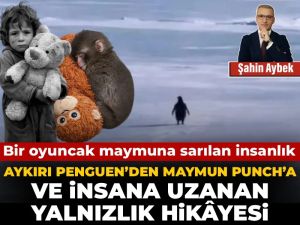 Aykırı Penguen’den Maymun Punch’a ve insana uzanan yalnızlık hikâyesi: Bir oyuncak maymuna sarılan insanlık