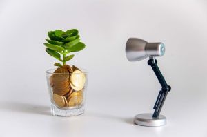 (POGLED) Kolumna Petre Juvančič: Volitve bodo minile, kaj pa trend?