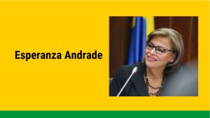 Senado, C-9 Partido Conservador