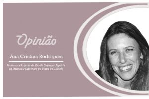 “A cidade-esponja e o legado de...”