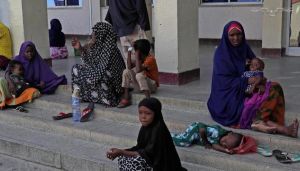 From day care fraud to suitcases full of cash: Somali fraud is worse than you think