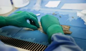 Opozorila zaradi resnega tveganja za uničenje celic Biobanke