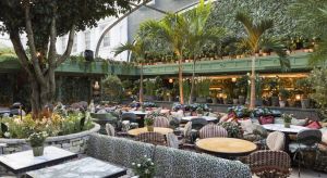 Bir kadın… Bir kulüp… Bir içki… Ve saf kötülük