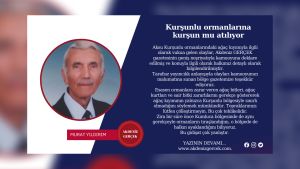 Kurşunlu Ormanlarına Kurşun Mu Atılıyor