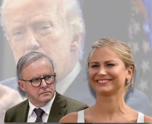 Adjectives and allegiance: What Albanese’s word choices reveal