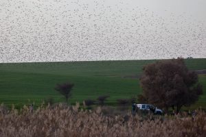 As Israel plans two new airports, experts say proposed site near Gaza won’t fly