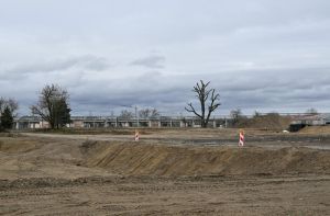 Altlasten auf Spinelli: Warum reagiert man erst jetzt?