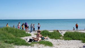 Nogen fylder os med løgn: Tror du på det hele?