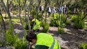 Canarias normaliza la exclusión