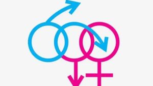 Sexe et genre: retour au bon sens?