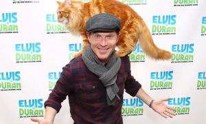 Več kot le kuhar: »chef z mačko« in zvezdo na pločniku slavnih