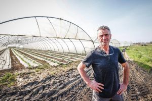 « Mon jardin partagé » : découvrez le concept innovant de la ferme Larqué à Assat