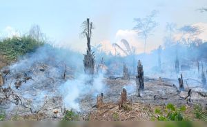 Anhedonia democrática, por René Gastelumendi