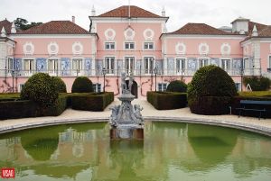 Quem segura o regime? O novo ciclo político depois das presidenciais